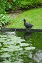 Vorschaubild Ubbink Wasserspeier Ente