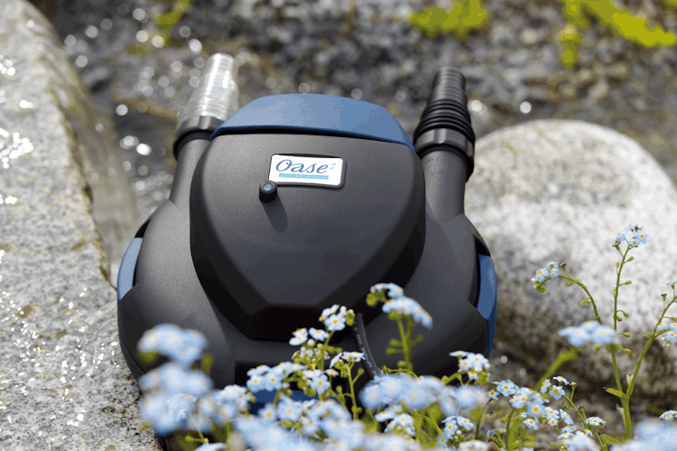 Oase Druckfilter BioPress Set 4000