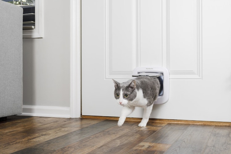 PetSafe Katzenklappe Deluxe 4-Way weiß