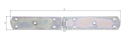Alberts® Kistenband, galvanisch verzinkt dickschichtpassiviert, LxB 300x40x2,5 mm 315740