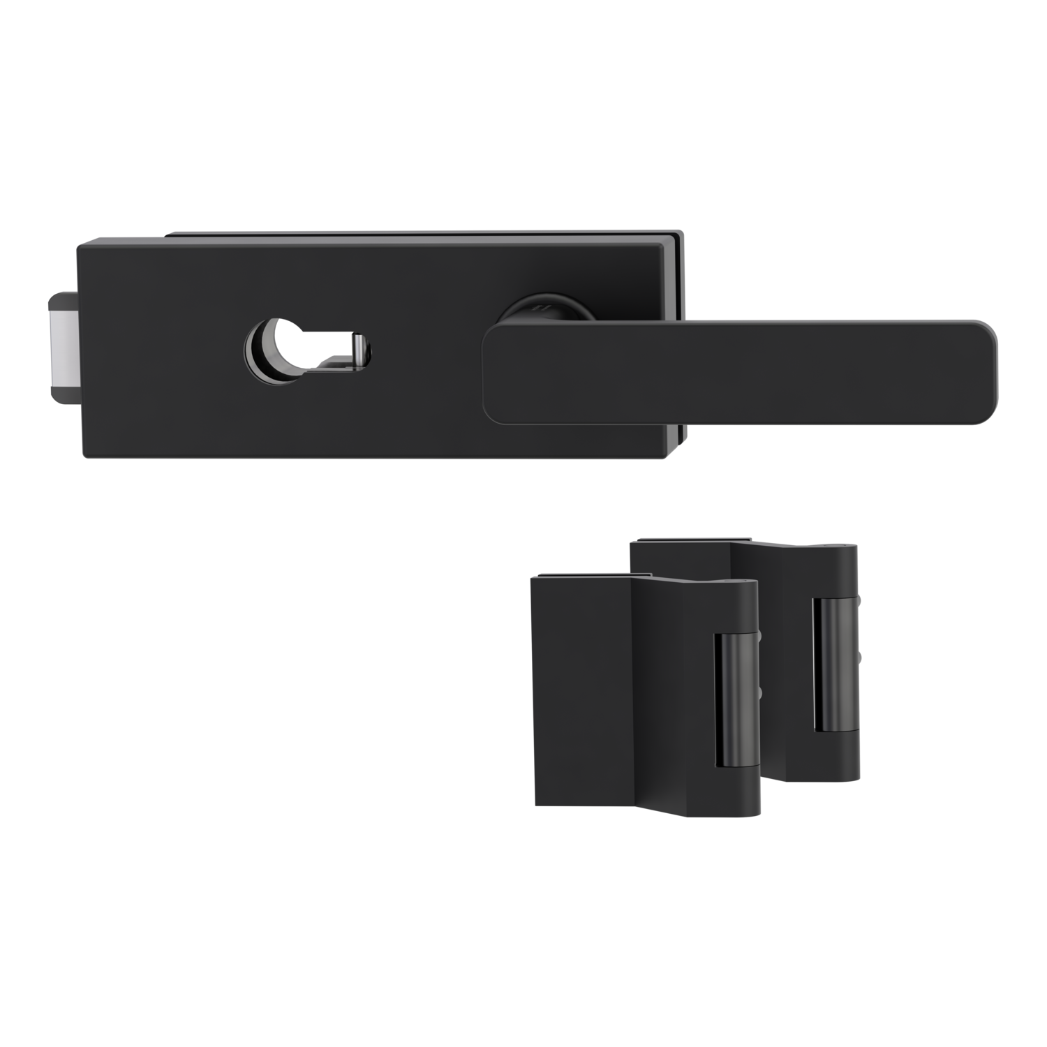 Griffwerk PURISTO S -Graphitschwarz Ganzglastürbeschlagset -3-teiliger Bandsatz -mit Griff DESM MINIMAL MODERN -GSC -PZ