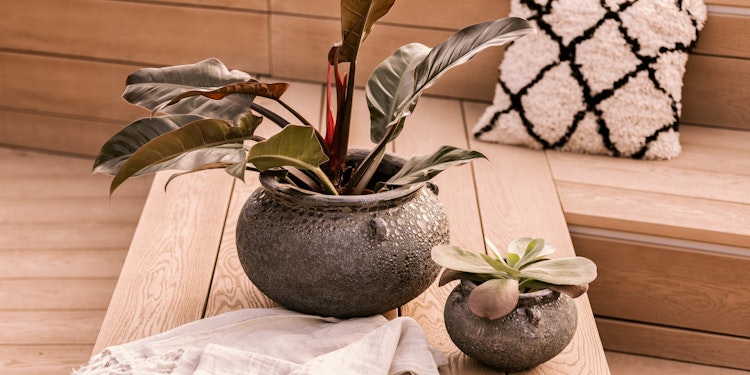 Vosteen Design Blumentopf / Pflanzgefäß Terrakotta schwarz 2er Set ø 23 cm x H 16 cm, 40 cm x H 27 cm