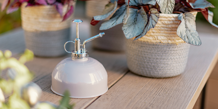 Pflanzensprüher beige