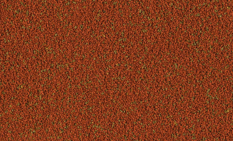 Tetra TetraMin Granules XL