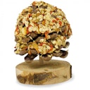 Vorschaubild JRFarm 1St. Früchtebaum