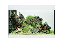 Oase Aquarium StyleLine Modell 125