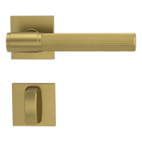 Griffwerk VAYA 136 ARIS fast2fix Fast2Fix Rosetten eckig WC Gold matt