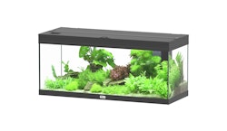 aquatlantis Prestige 100 schwarz Aquarienset