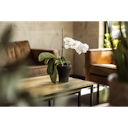 Vorschaubild Plant Pot Floora