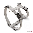 Vorschaubild Wolters Professional Geschirr silber