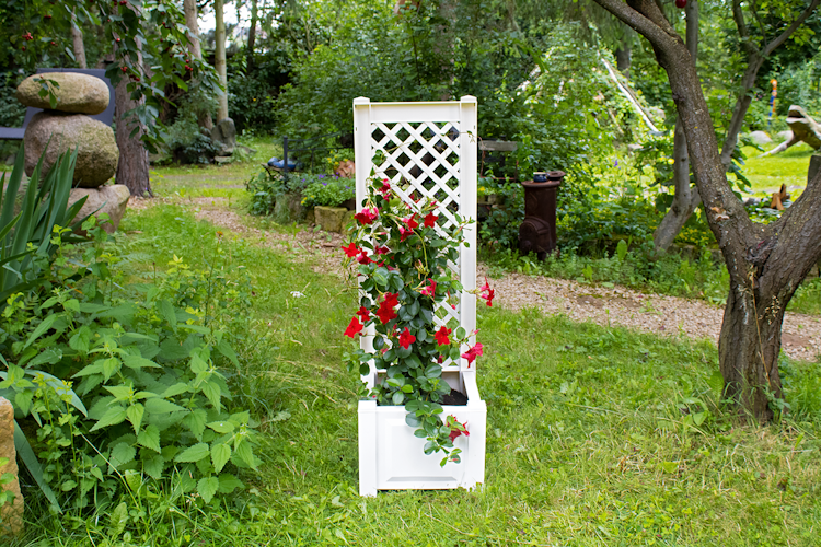 KHW Pflanzkasten klein mit Spalier 43 cm