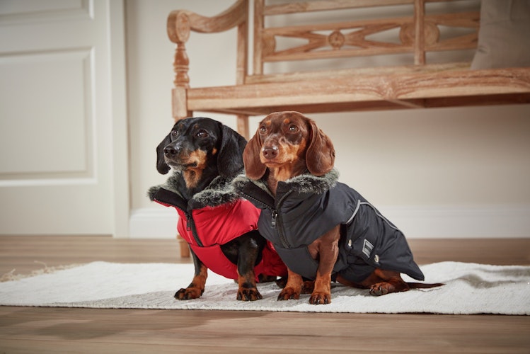 Wolters Jacke Amundsen schwarz