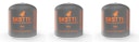Vorschaubild SKOTTI Gas Vorratspack 3 x 500g