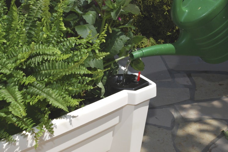 KHW Calypso Pflanzkasten auf Rollen mit Bewässerungssystem + modularem Spalier