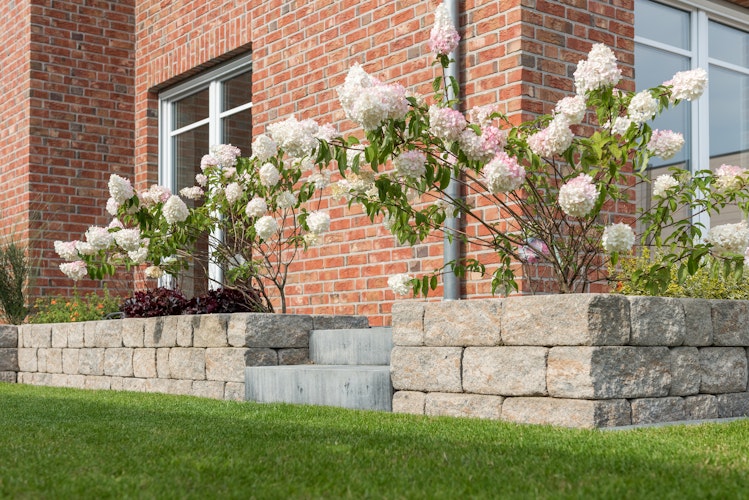 Diephaus Mauerstein SIOLA-MINI MUSCHELK 35/16,5/15 CM PE3