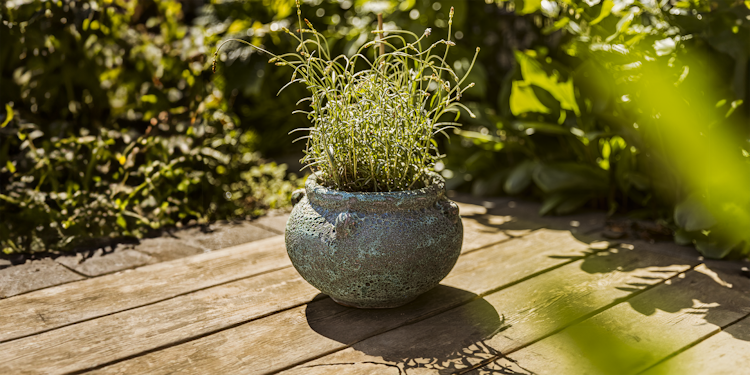 Plant Pot Ensio grün antik