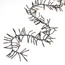 Vorschaubild Konstsmide Weihnachtsbeleuchtung  Micro LED Büschellichterkette 11536 bernsteinfarbene Dioden