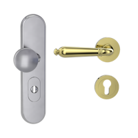 Griffwerk Kombi-Schutzbeschlag TITANO SB_882 mit Griff CAROLA 72mm Zylinderabdeckung Tür 38-50mm L CAROLA Messing-Optik