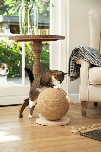 Designed by Lotte Kratzball Balty aus Holz Katzenspielzeug