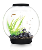 BiOrb Aquarium CLASSIC 60 MCR