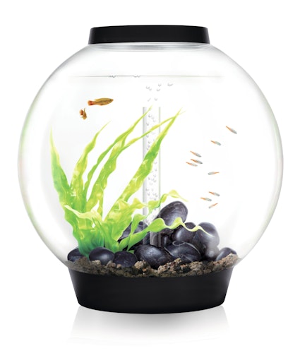 BiOrb Aquarium CLASSIC 60 MCR
