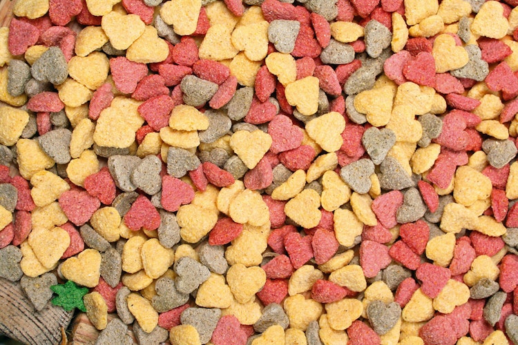 JR FARM Herzchen 200g Kleintiersnack