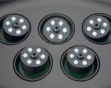 Water-Starlet-Detailbild_3