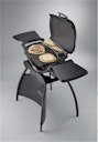 Weber Gasgrill Q 2200 mit Stand - Black