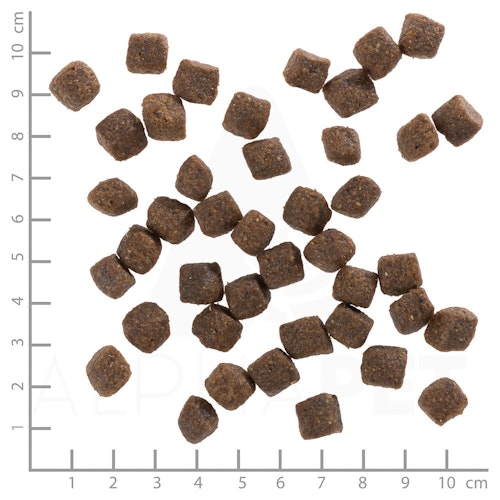 WOLFSBLUT Black Bird Small Breed Truthahn mit Süßkartoffel Hundetrockenfutter