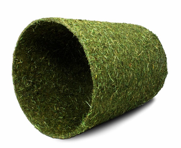 JR FARM Nager Heutunnel Kleintiersnack