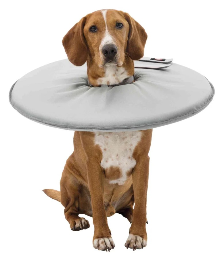 TRIXIE Schutzkragen, Polyester/Schaumstoff, XL: 60–64 cm/29 cm, grau