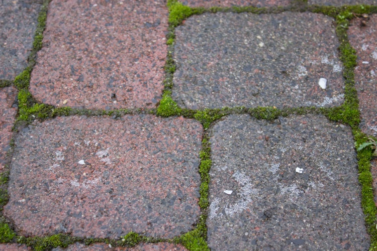 Hotrega Schnee- und Eis-Weg 2 in 1 - Supergranulat