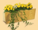 Vorschaubild Skan Holz Blumenkasten