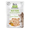 Brit Katze Fillets in GravyVorschaubild