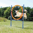 Vorschaubild TRIXIE Fun Agility Ring, Kunststoff, 115 × ø 3 cm, ø 65 cm, blau/orange