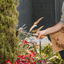 Vorschaubild Restberry´s Doppelhacke klein