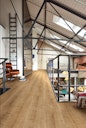 MEISTER Laminatboden MeisterDesign. laminate Edition M8 1288 x 328 x 8 mm 07155 Big Lake Oak Natural Wood-Struktur