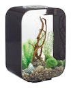 Vorschaubild BiOrb Aquarium LIFE 15 LED