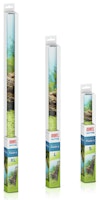 JUWEL Poster XL 150x60 Zentimeter Aquariendekoration