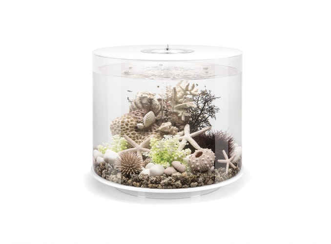 BiOrb Aquarium TUBE 35 MCR