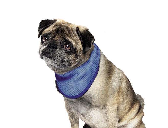 NOBBY Kühl-Halstuch S: 18-30 cm