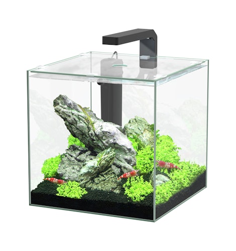 Aquatlantis Kubus LED Aquarium-Set