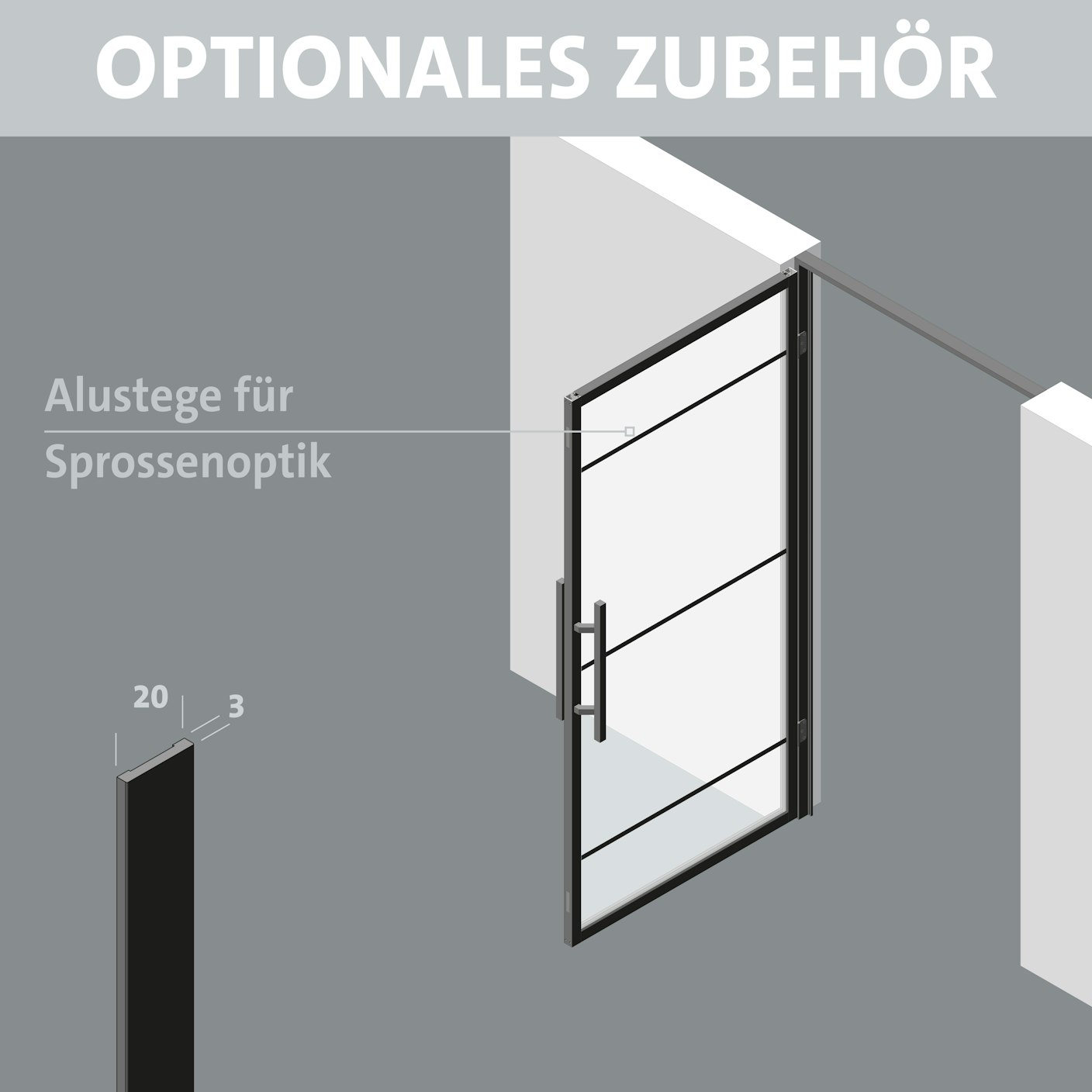 flex_LM_alusteg1000_4