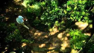 Husqvarna Laubbläser 525 BX 