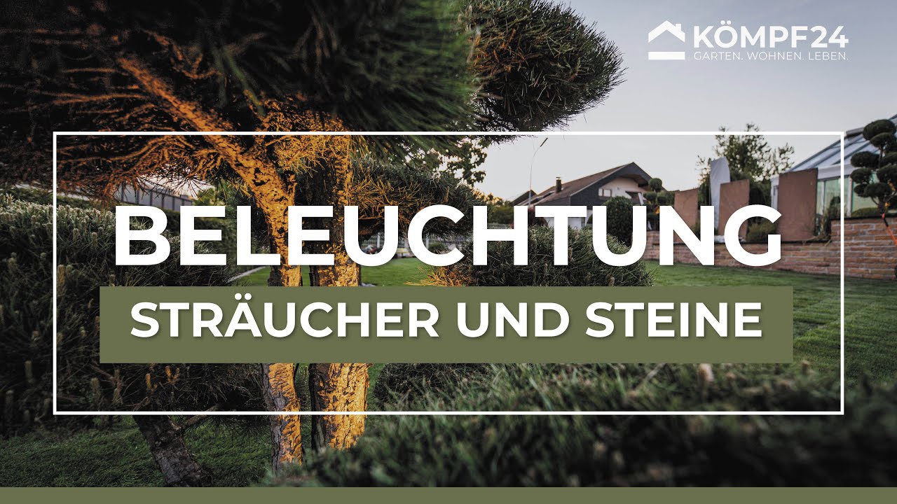 Vorschaubild Youtube-Video