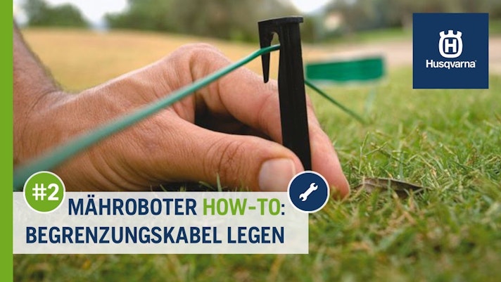 Vorschaubild Youtube-Video Vorschaubild Youtube-Video