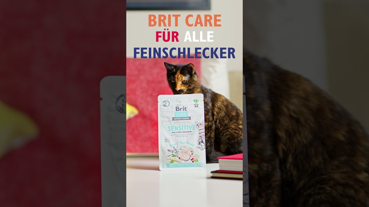 Vorschaubild Youtube-Video