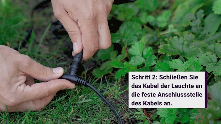 Vorschaubild Youtube-Video Vorschaubild Youtube-Video