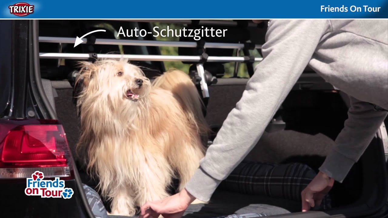 Vorschaubild Youtube-Video