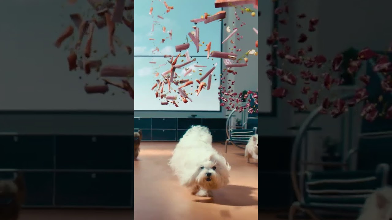 Vorschaubild Youtube-Video